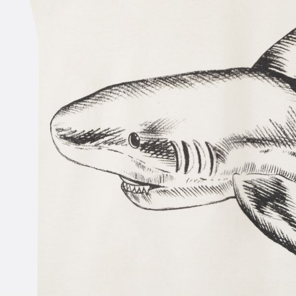 Palm Angels Broken Shark Classic T-shirt Offwhite | Mezaldy DE