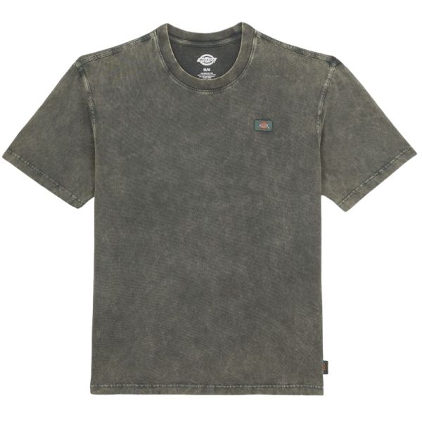 Dickies Newington T-shirt Donker Groen