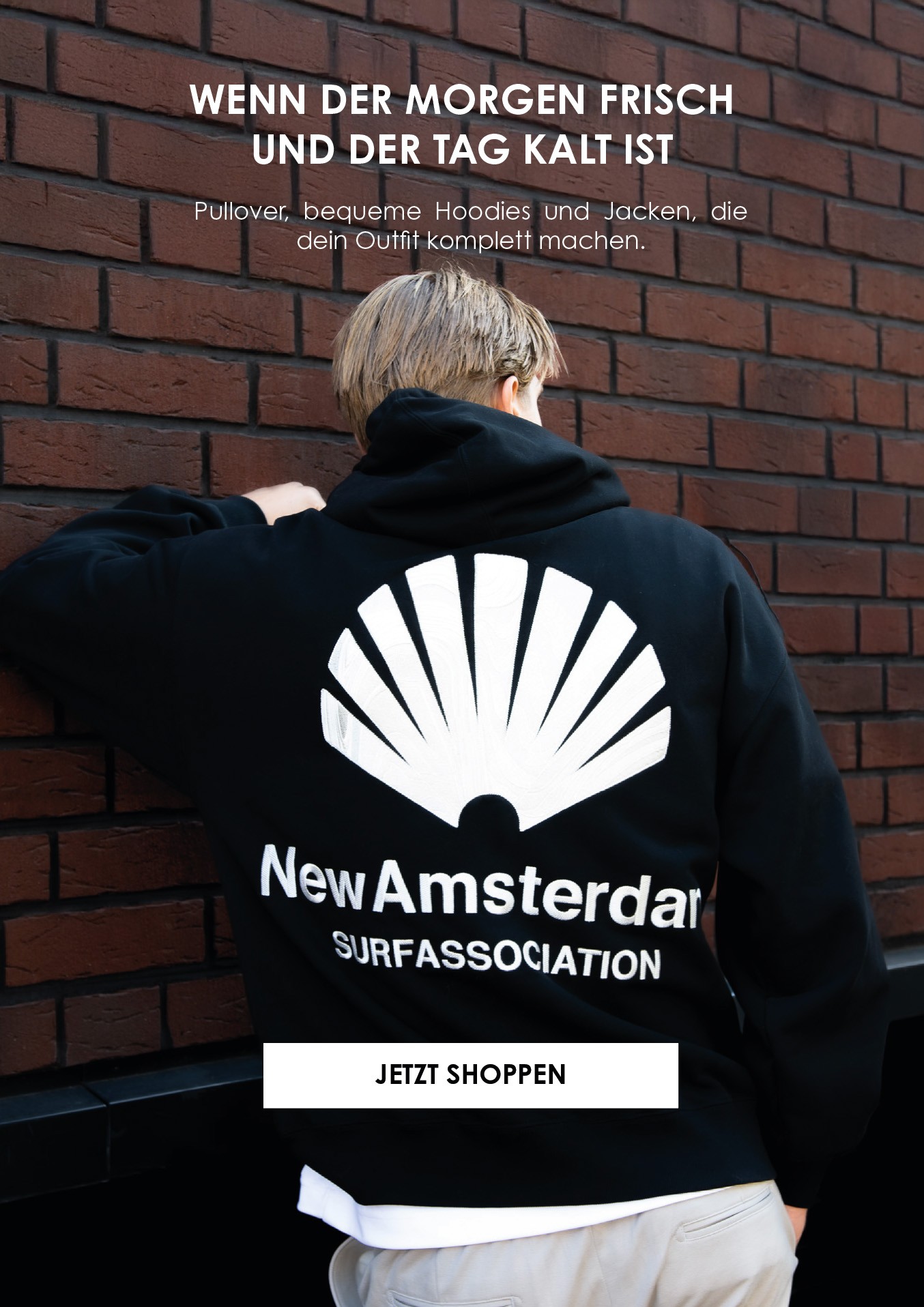 Mezaldy DE Banner Handy